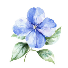 a beautiful watercolor illustration of a blue flower with delicate petals and lush green leaves, per
