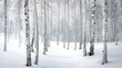 © Bonsales - Winter forest scene with tall white birch trees standing in deep snow, creating a serene and peaceful atmosphere