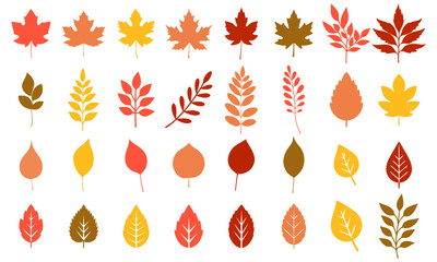 Flat vector illustration Silhouettes of tree leaves elm, beech, ash, linden, birch, alder, aspen, willow, maple, poplar, rowan, hawthorn, walnut, apple, oak etc. isolated on light gray background