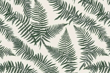 Wall Mural -  background with jungle fern leaves isolated against white background