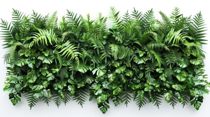 Canvas Print - Wall covered with lush green plants, ideal for office or home decor