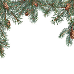 Wall Mural - square frame made of conifer branches with cones. frame isolated on white background, copy space. ov