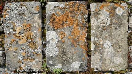 Poster - A close-up shot of a brick covered in moss, suitable for use in architectural or nature-inspired designs