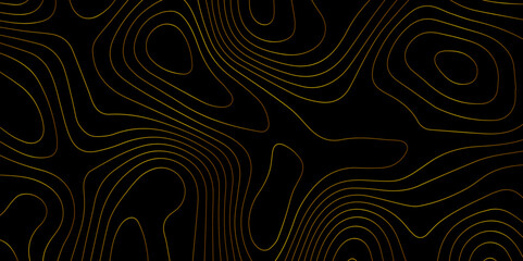 Wall Mural - abstract light pattern vector illustration. topographic map background concept. vibrant neon lights 