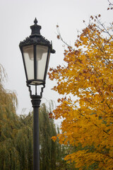 Autumn lamp