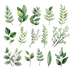 Wall Mural - Watercolor illustrations Botanical clipart. Set of Green leaves, herbs and branches. Floral Design elements. Perfect for wedding invitations, greeting cards, blogs, posters and more