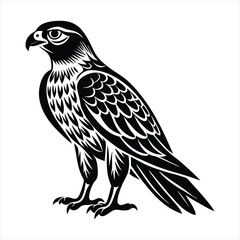 Wall Mural - Hawk silhouette vector