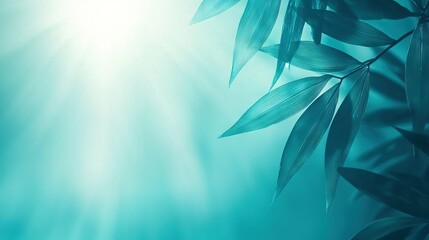 Wall Mural - the sun brightly shines through the bamboo leaves on a clear, blue day