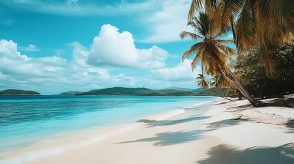 Wall Mural - A pristine white sand beach with crystal clear turquoise water and palm trees.