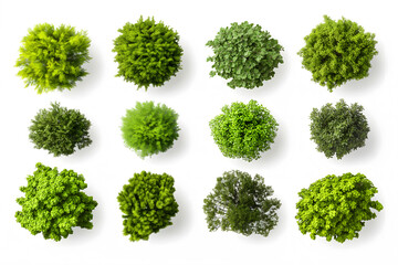 Collection of tree views from above isolated on a white background, tree top