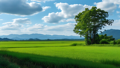 Peaceful rural scenery with green fields and distant mountains, against a backdrop of cloudy blue sky.