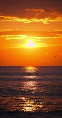 Wall Mural - golden summer sunrise over calm sea waves. exotic ocean sunset vertical nature video