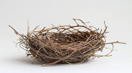 Empty Bird's Nest Made of Twigs