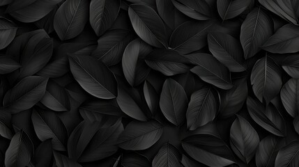 Sticker - Black and White Tropical Leaves Pattern Background