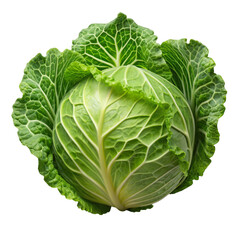 Green cabbage isolated on transparent background