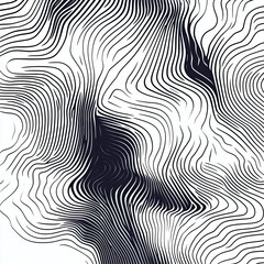 Fototapete - Abstract black and white lines creating a fluid, wave-like pattern for artistic and modern designs.
