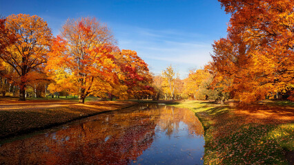 Poster - Beautiful autumn landscape in the park with water and colorful trees.