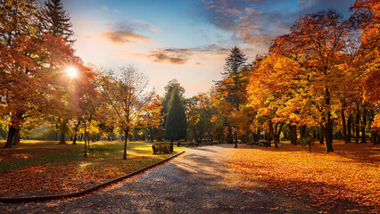 Wall Mural - Autumn landscape with colorful trees in the park. Autumn season.