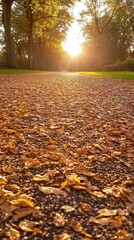 Wall Mural - A serene pathway covered in golden autumn leaves, illuminated by the warm glow of the setting sun in a peaceful natural setting.