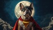 © ZeeZaa - A dog is wearing a superhero costume and standing in front of a full moon