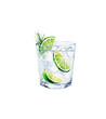 © zenina - Watercolor Gin Tonic illustration. Alcohol long drink clipart. Glass of cocktail. Club shake beverage hand drawn illustration. Stock print.