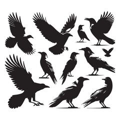 Wall Mural - Set of crow silhouette vector on a white background