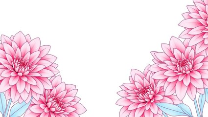 Wall Mural - Pink Dahlia Flower Border on White Background