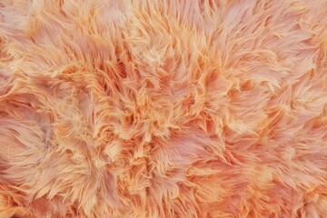 Wall Mural - Orange fur texture