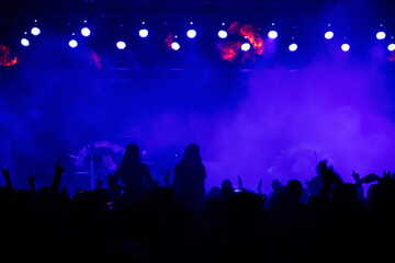 Canvas Print - Crowd at concert and colorful stage lights.