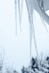 Poster - Transparent icicles hang on a white gutter of a rural house