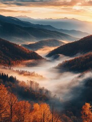 Wall Mural - Mountain sunset with fog