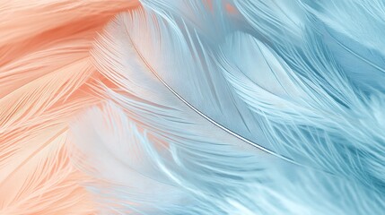 Poster - Abstract Feather Texture   Soft Blue and Peach Tones