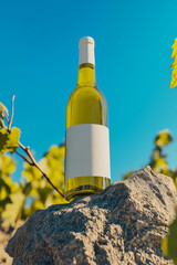 White wine mock-up. A bottle of white wine on a rock in a vineyard with an empty label