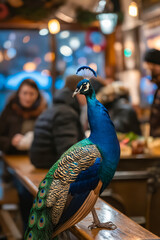 Poster - A peacock sitting on top of a wooden table