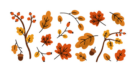 Poster - Autumn leaves set. Fall leaf, acorn, berries, forest foliage, branches and twigs. Botanical seasonal decorations. Natural decorative elements. Flat vector illustration isolated on white background
