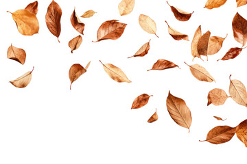 Wall Mural - a collection of dried leaves falling against a black background.