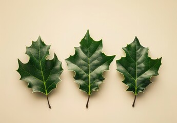 Wall Mural - Three green leaves arranged on a light beige background, showcasing their distinct shapes and textures in a minimalist style