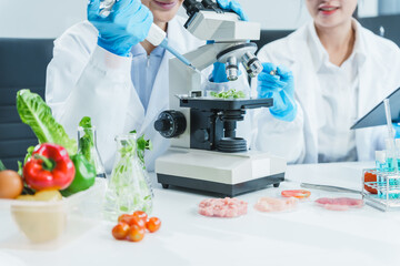 two asian women in a lab work on food research, using a microscope, petri dish, and test tubes fille