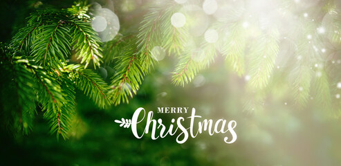 Poster - Border of fir branches in nature with Christmas light glare. Winter banner greeting with beautiful fluffy fir branches and inscription merry Christmas.