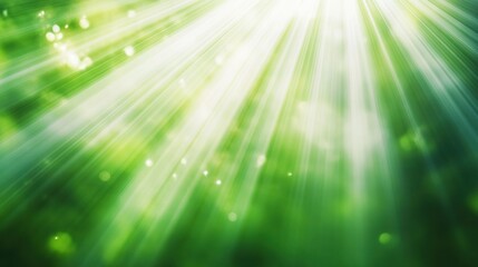 Poster - Sunbeams Through Green Foliage