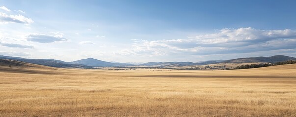 A serene landscape featuring vast golden fields under a clear blue sky, with distant hills and a sense of tranquility.