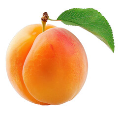 Poster - Fresh ripe apricot fruit with leaf isolated on white background