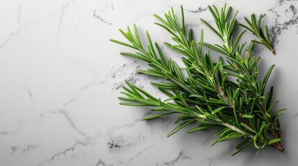 Fresh rosemary sprig resting on a marble countertop, showcasing its vibrant green colors and delicate texture. Generative AI