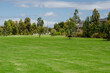 © Doublelee - Background texture of large vacant green grass lawn in an urban park with Australian native gum trees and suburban residential houses in the distance. Public outdoor green space in a neighbourhood.
