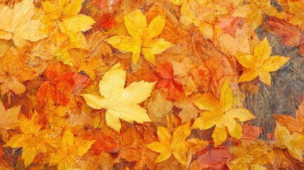 Canvas Print - A close up of a bunch of yellow and red leaves in a water, AI