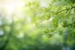 © Vladislav - Close up spring nature view of green brunches on blurred garden background with copy space. Natural background