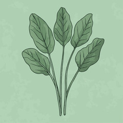 Canvas Print - Vector Illustration of Leafy Greens on Subtle Background