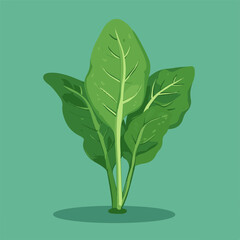 Canvas Print - Vibrant Vector of Spinach Leaves on Green Background