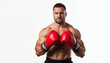 © abu - A confident heavyweight boxer with red gloves poses against a clean white background, emphasizing strength and focus.