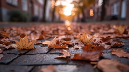 Vibrant autumn leaves are scattered on a cobblestone sidewalk under a warm, setting sun, creating a picturesque scene of fall and nature's beauty.